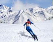 Downhill ski fzs